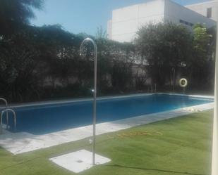 Swimming pool of Flat to rent in Algeciras  with Terrace and Balcony