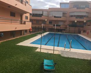 Piscina de Apartament de lloguer en Algeciras amb Terrassa