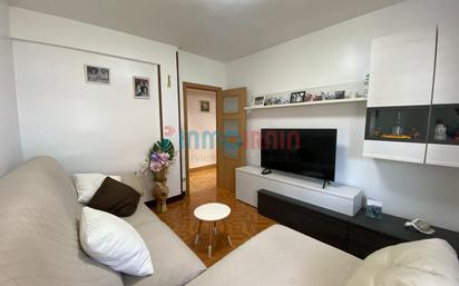 Living room of Flat for sale in Ordizia