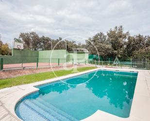 Piscina de Casa o xalet en venda en Ciudalcampo amb Terrassa i Piscina