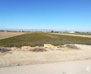 Land for sale in De Los Martinez, San Fulgencio
