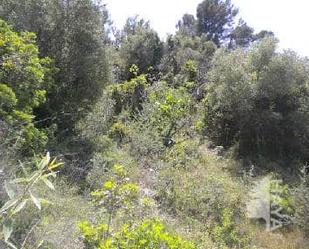 Planta baja for sale in Partida Barranco de la Murta (pol 13 - Parc 276), Urbanitzacions i Pedanies Nord