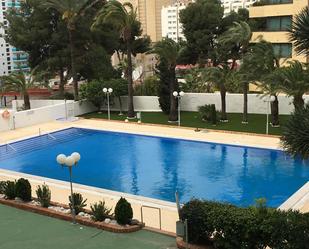 Swimming pool of Apartment for sale in Benidorm  with Air Conditioner, Terrace and Swimming Pool