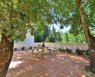 Garden of Country house for sale in Ronda  with Air Conditioner