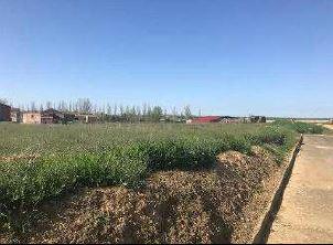 Terreny en venda a Cuenca de Campos