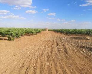 Terreny en venda a Monreal del Llano