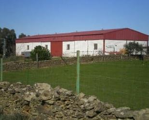 Exterior view of Premises for sale in Membrío