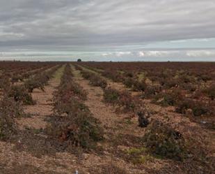 Terreny en venda a Villanueva de la Jara