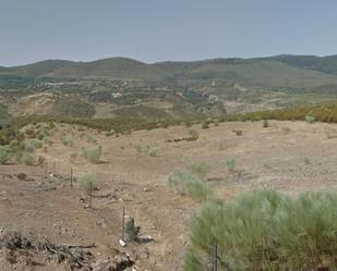 Land for sale in Fresnedoso de Ibor