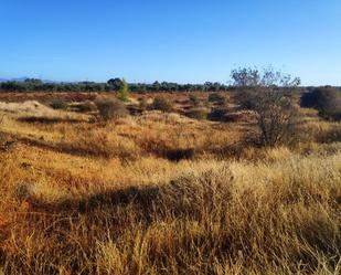 Terreny en venda a Navalvillar de Pela