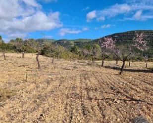 Land for sale in La Font de la Figuera