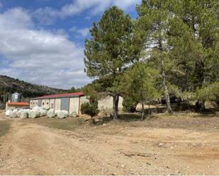 Premises for sale in Salinas del Manzano