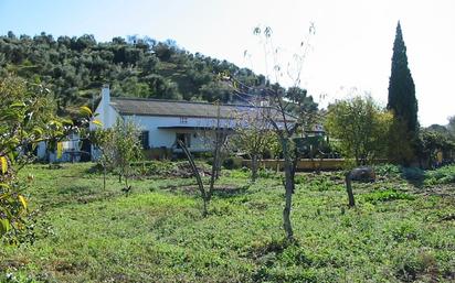 Pila lavar Muebles, hoghar y jardín de segunda mano barato en Cádiz  Provincia