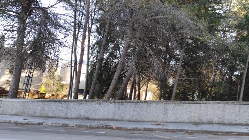 Solar urbano  Calle de les oliveres - del puntal, 0. Suelo urbano de uso residencial en venta en el municipio de arta