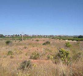 Land for sale in Fanzara