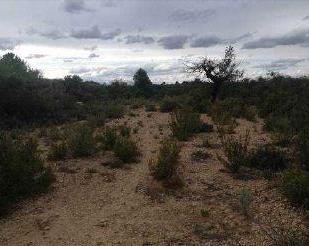 Land for sale in Cheste