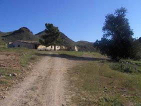 Land for sale in Lorca