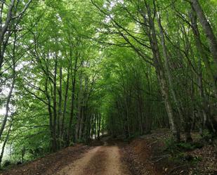 Vista exterior de Casa o xalet en venda en Oña amb Terrassa