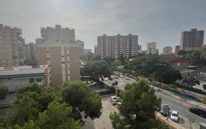 Lío República almuerzo Pisos de alquiler con terraza baratos en Alicante / Alacant | fotocasa