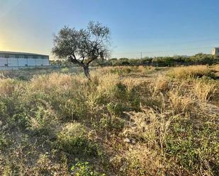 Industrial land for sale in Mairena del Aljarafe