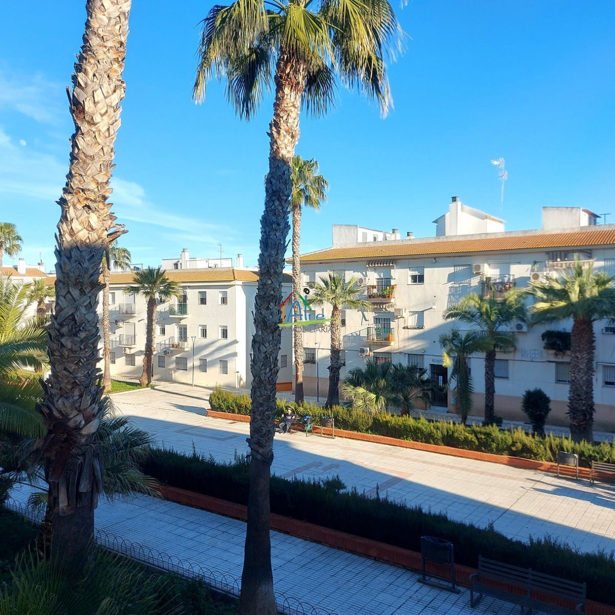 Plantas artificiales Plantas de segunda mano baratas en Huelva Provincia