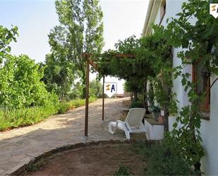 Garden of Country house for sale in Huelma