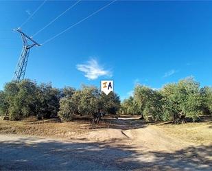 Constructible Land for sale in Lucena