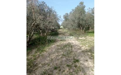 Country house for sale in Chiclana de la Frontera