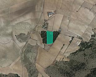 Land for sale in Paraje Calderón, Yecla