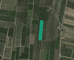 Land for sale in Albalat de la Ribera