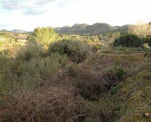 Land for sale in Barxeta