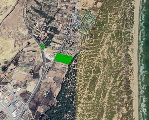 Land for sale in Guardamar del Segura