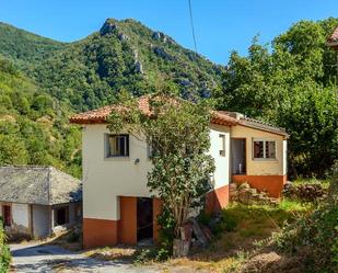 Exterior view of House or chalet for sale in Somiedo
