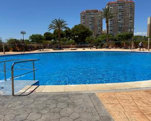 Swimming pool of Apartment for sale in El Campello  with Swimming Pool