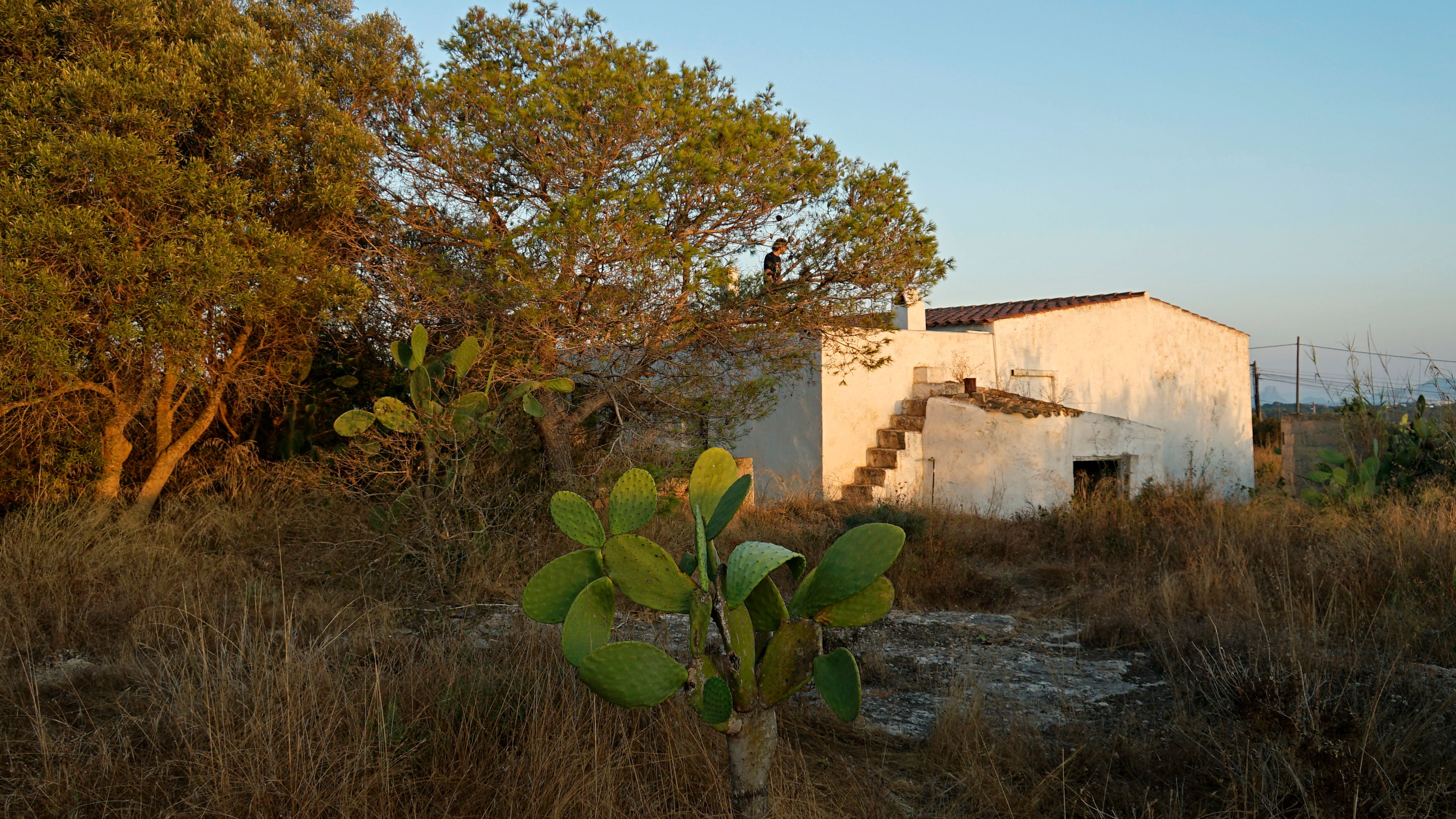 67 Viviendas y casas en venta en Isla de Formentera | fotocasa