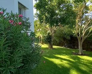 Garden of Apartment for sale in La Campana