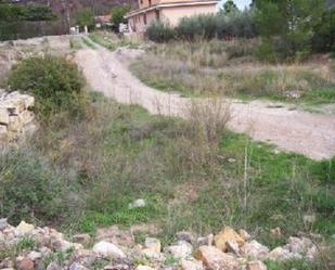 Land for sale in Bugarra