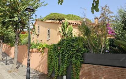 Ventajas y usos de las plantas artificiales - Garden Catalunya Plants (Sant  Vicenç dels Horts, Barcelona)
