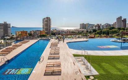 Flats to rent at Las Rejas Open Club Benidorm, Alicante | fotocasa