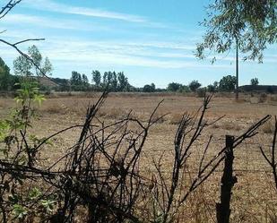 Land for sale in Paraje Tras el Prado Nuevo, Poligono 5, Parcela, El Ejido - Santa Ana