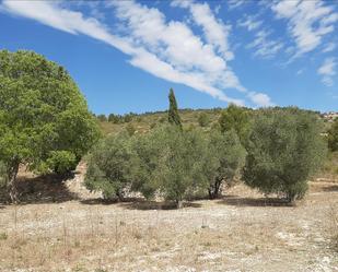 Land for sale in Ontinyent