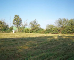 Land for sale in León Capital 