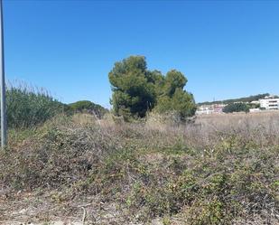 Land for sale in Calle Dos Pp4b, Nº 16, Centre