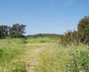 Constructible Land for sale in Palafrugell