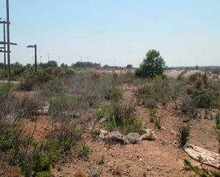 Constructible Land for sale in San Jorge / Sant Jordi