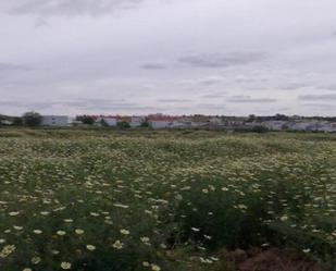 Urbanitzable en venda en Carrión de los Céspedes