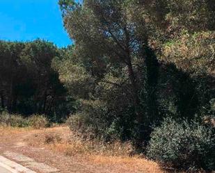 Constructible Land for sale in Òrrius