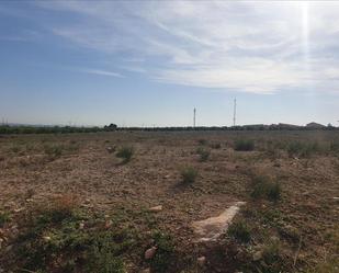 Land for sale in Los Montesinos