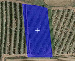 Land for sale in Azofra
