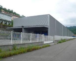 Vista exterior de Nau industrial en venda en Mieres (Asturias)